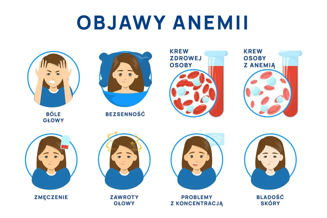 objawy anemii (niedokrwistości) infografika