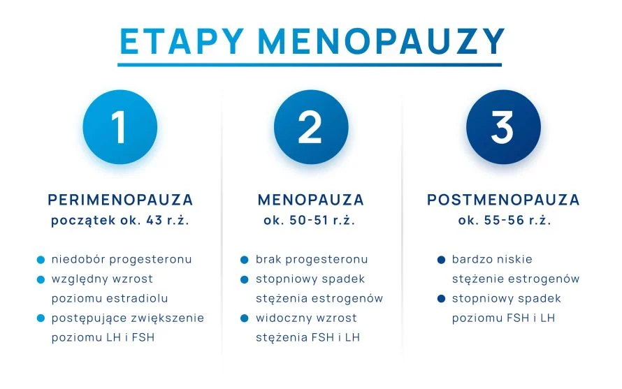 etapy menopauzy infografika