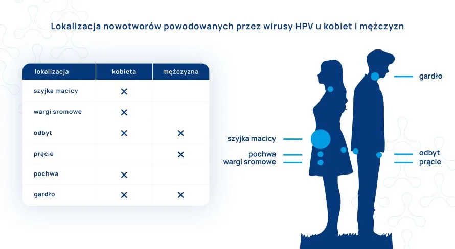 lokalizacja nowotworów powodowanych przez wirusa HPV u kobiet i mężczyzn infografika