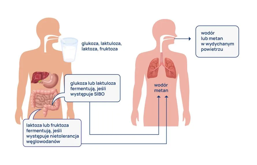 testy oddechowe infografika