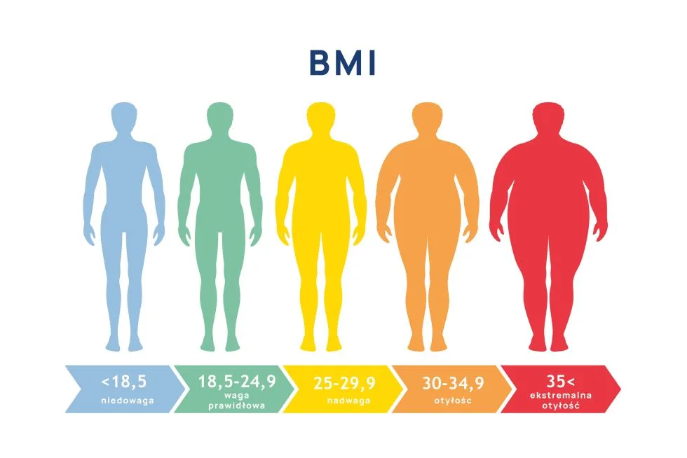 BMI infografika skala