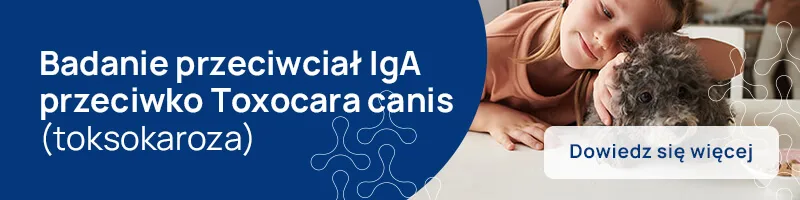 Badanie przeciwcial IgA przeciwko Toxocara canis