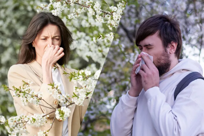 alergia na pyłki drzew