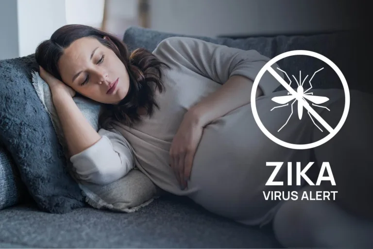 Wirus zika – występowanie, objawy zakażenia, badania i profilaktyka