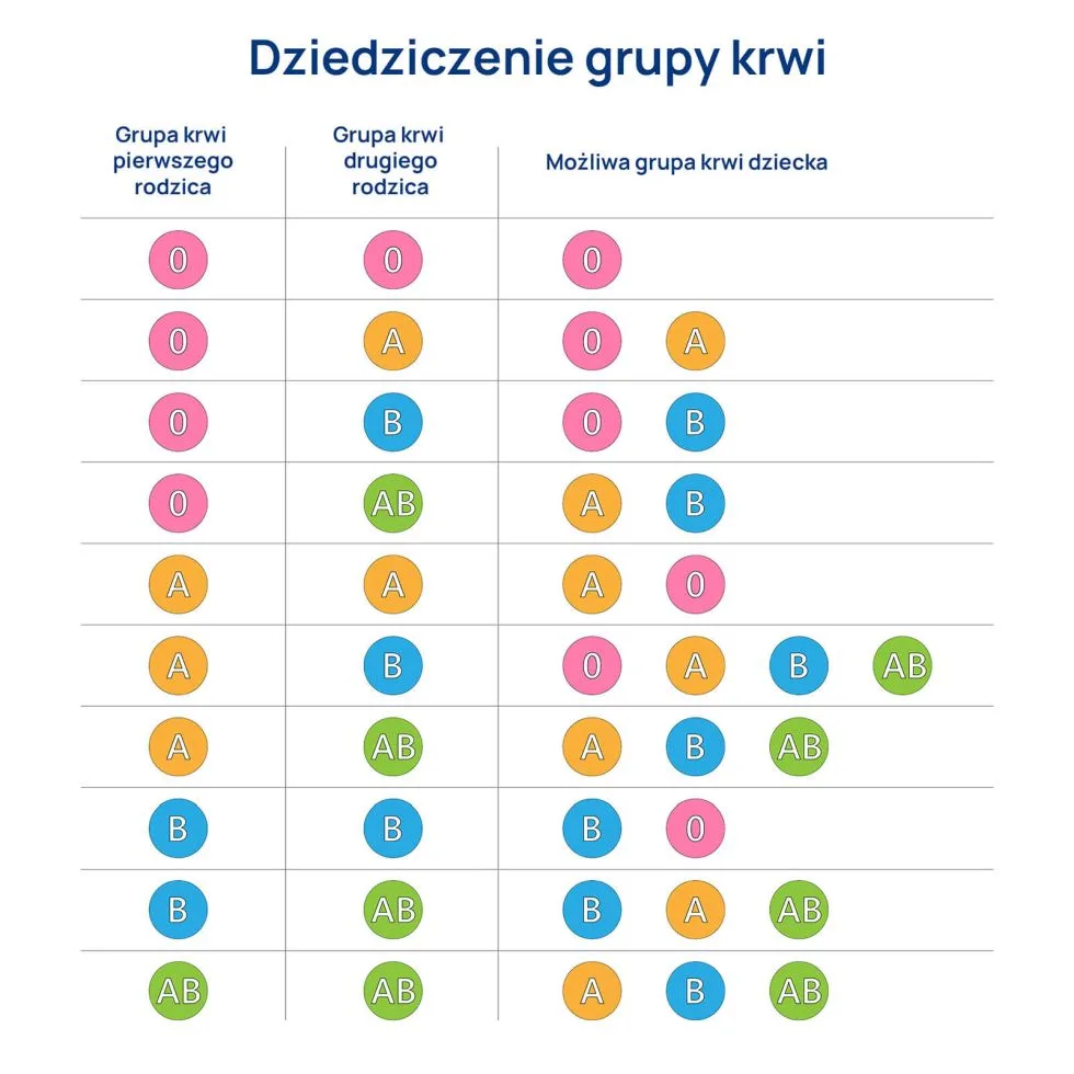 dziedziczenie grupy krwi infografika