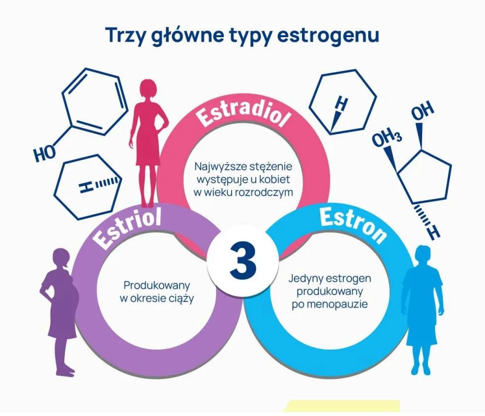 estrogeny rodzaje infografika