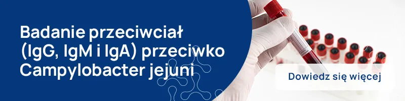 Badanie przeciwciał (IgG, IgM i IgA) przeciwko Campylobacter jejuni _